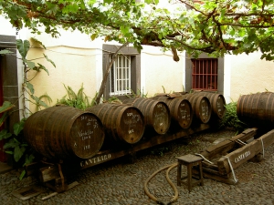 madeira víno